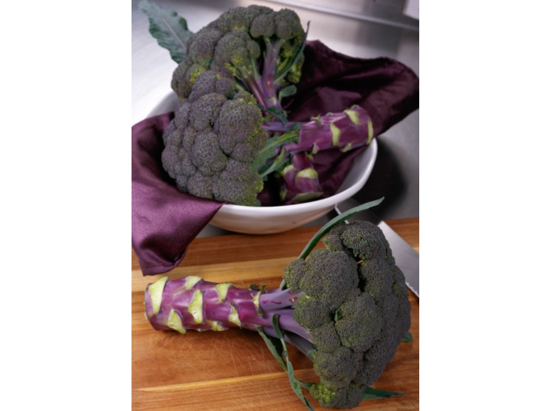 'Purple Magic' broccoli developed by Sakata Seed Corporation won AAS award