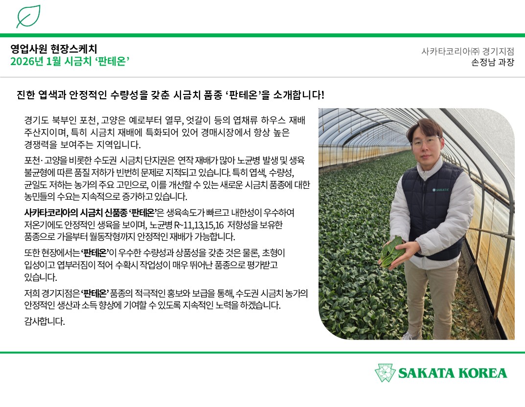 진한 엽색과 안정적인 수량성을 갖춘 시금치 품종 '판테온'을 소개합니다!
