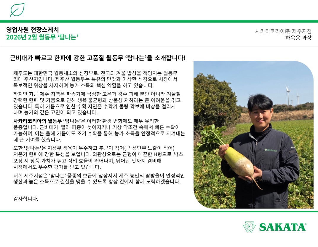 근비대가 빠르고 한파에 강한 고품질 월동무 '탐나는'을 소개합니다!